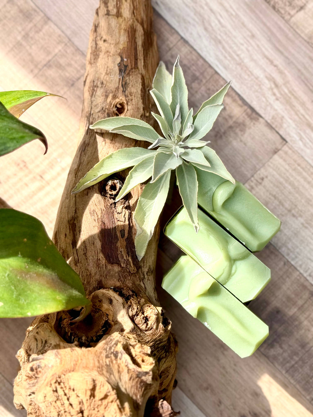 Wild Sage Artisan Soap
